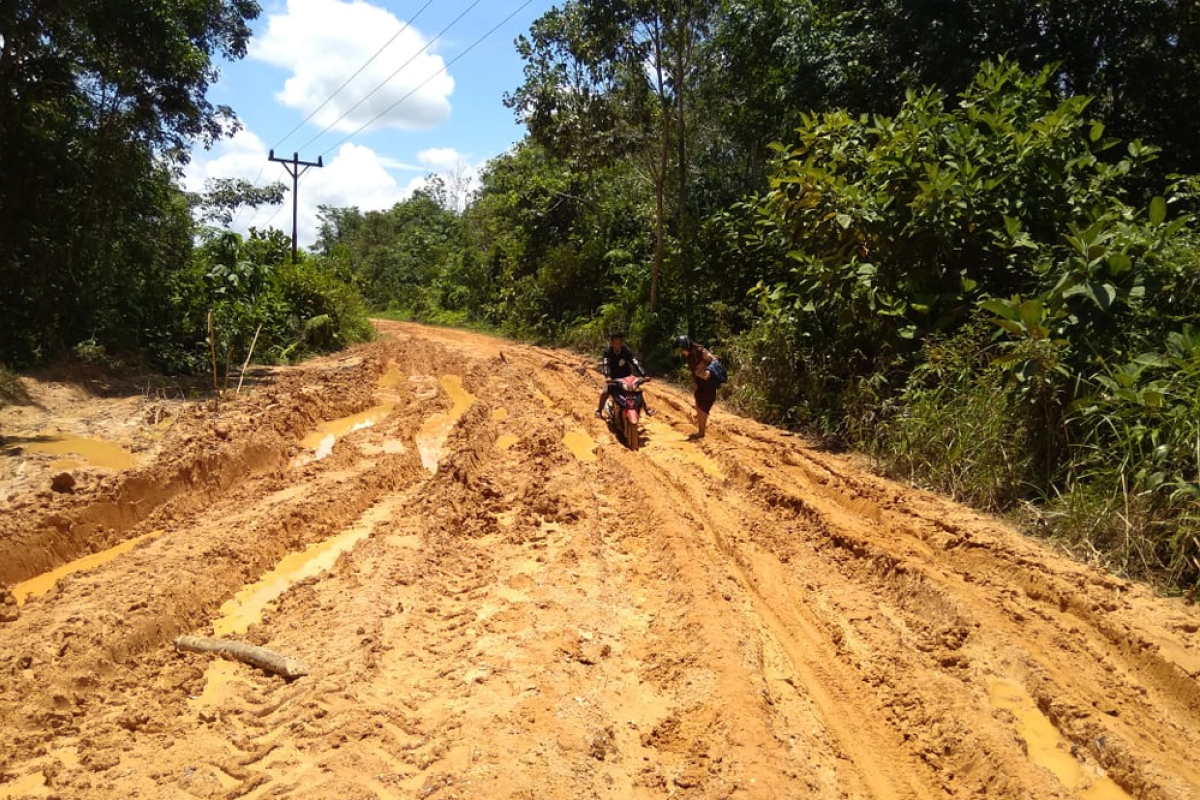 Jalan di Antang Kalang berpotensi rusak total, kata Legislator Kalteng