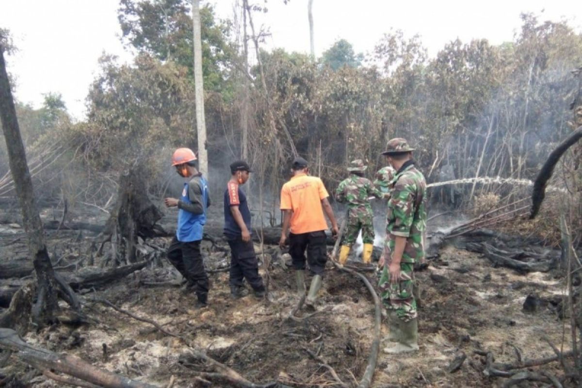 BPBD sebut karhutla di Nagan Raya telah padam