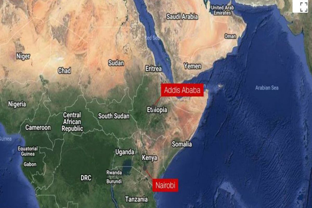 Korban pesawat Ethiopia dari 35 negara, termasuk satu WNI