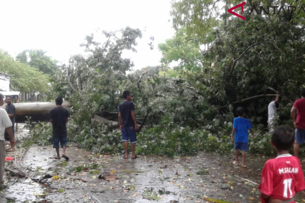 Angin kencang merusak 400 unit rumah di kota Kupang