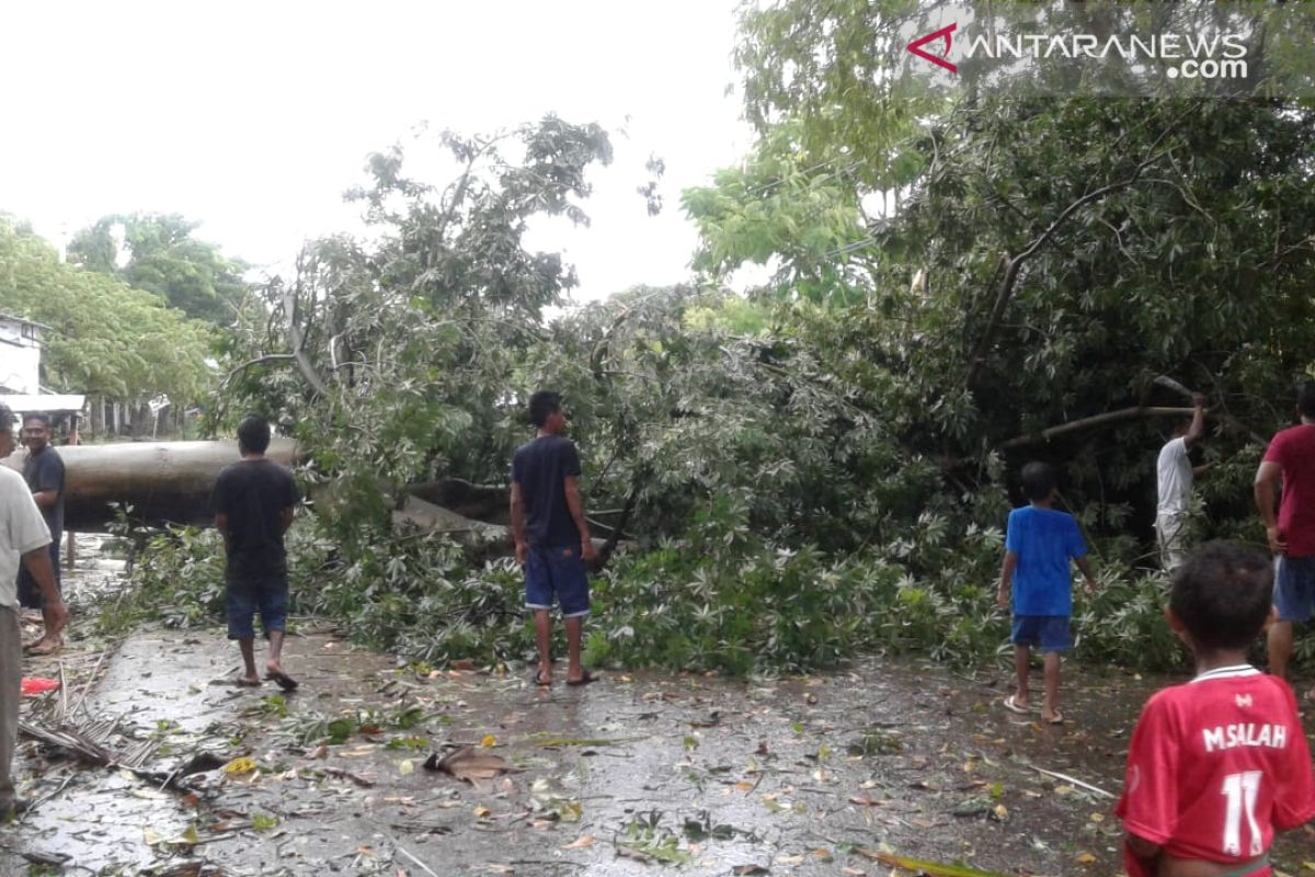 Ratusan rumah di Kupang rusak akibat dilanda angin kencang