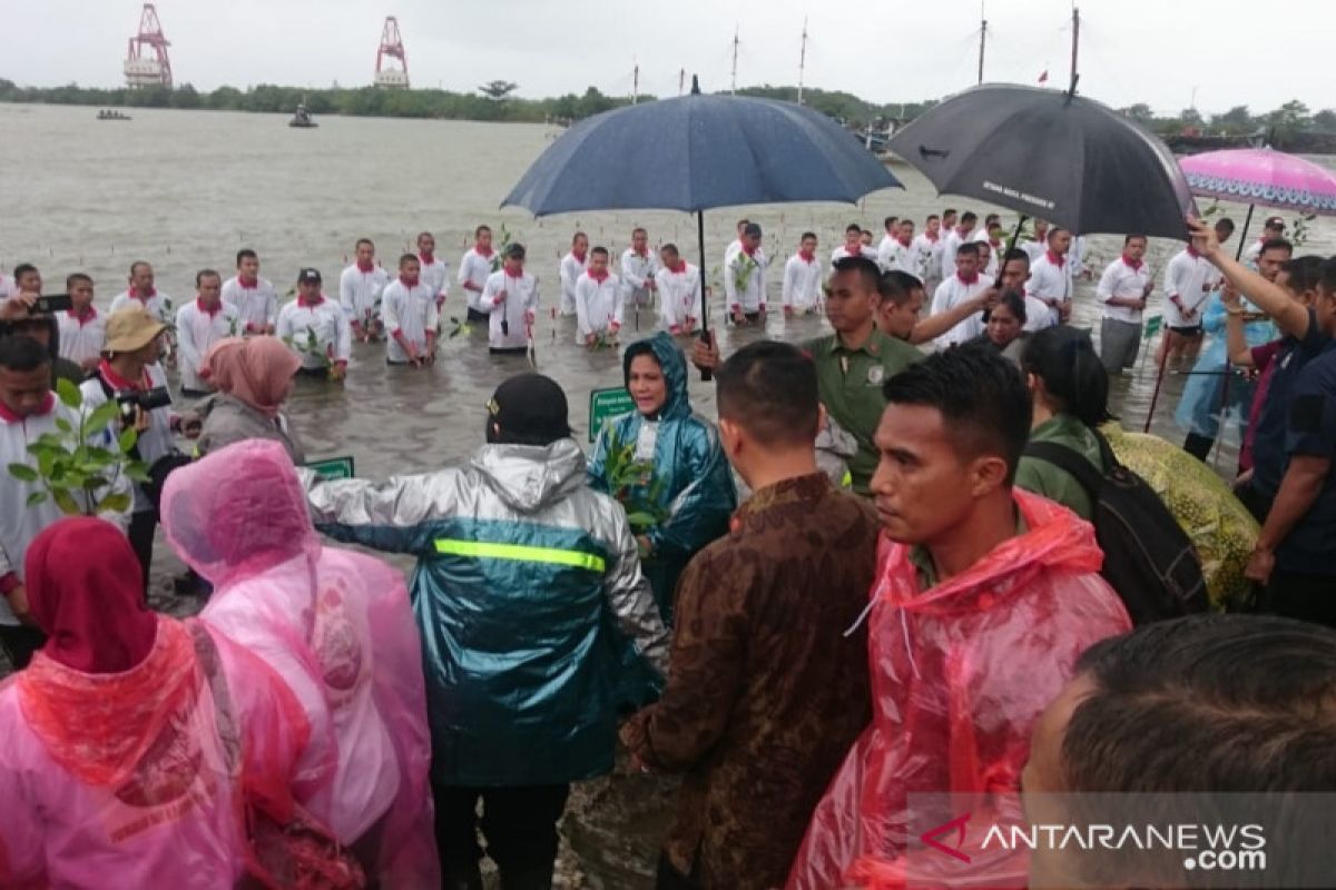 Ibu Negara tanam mangrove di Labuan Banten