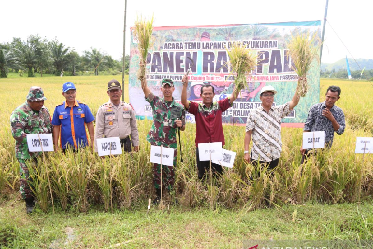 Bupati panen raya padi Desa Telaga