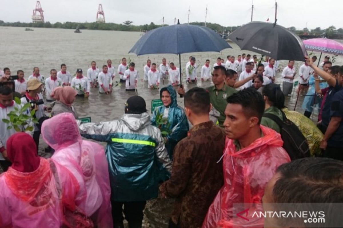 Iriana Jokowi awali tanam mangrove di Banten