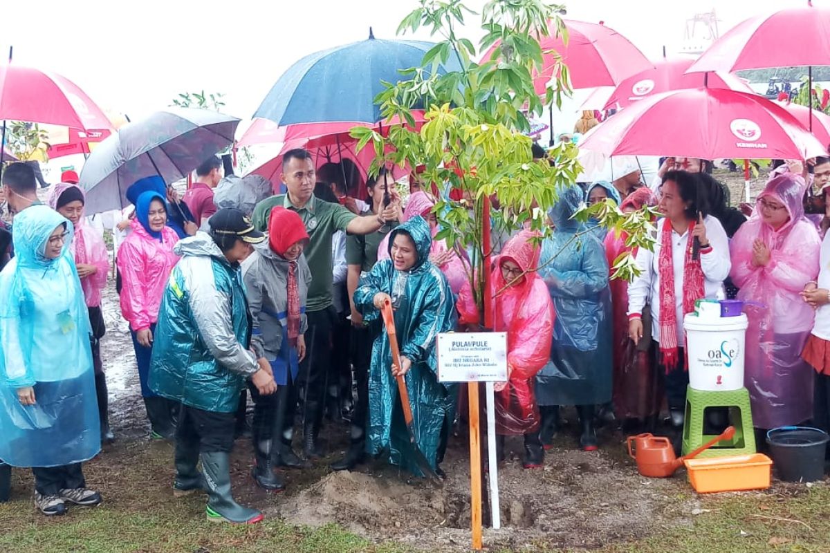 Ibu Negara ajak masyarakat jaga lingkungan dengan menanam mangrove