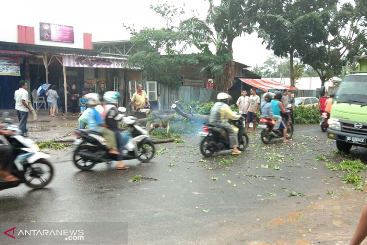 Hujan badai, seorang warga tewas tertimpa pohon di Bumi Ayu