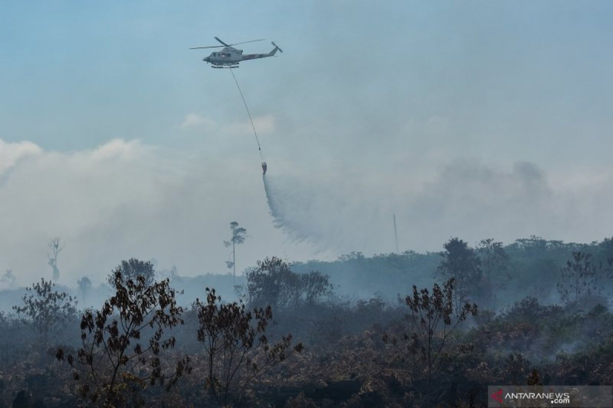 10 helikopter dikerahkan tangani kebakaran hutan dan lahan di Riau