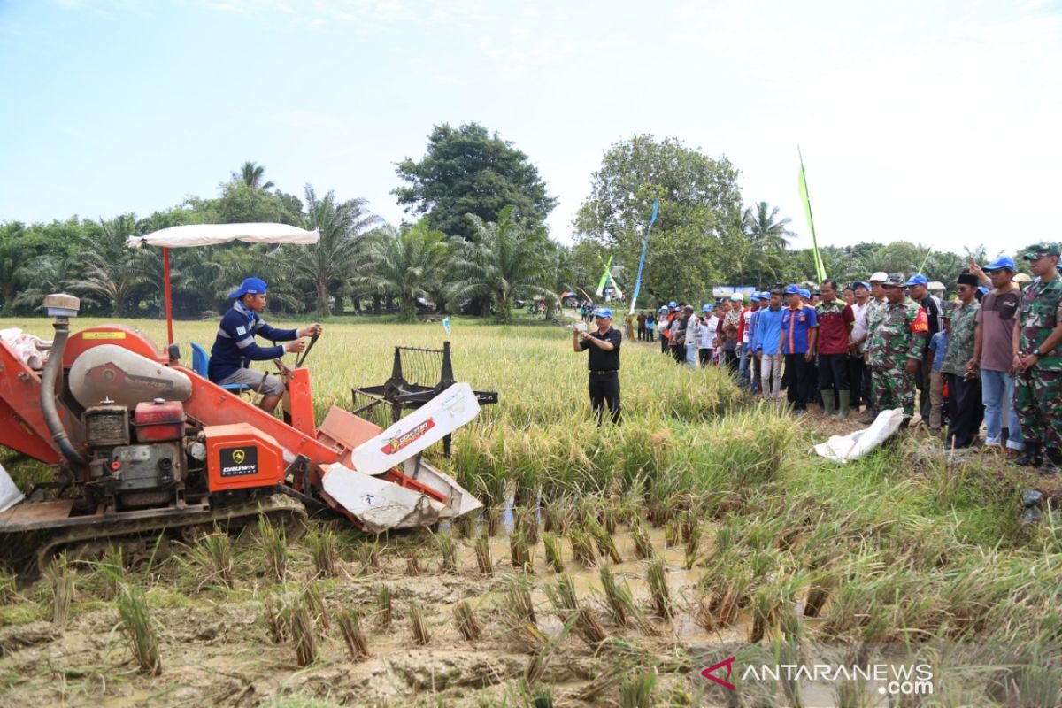 Tanah Laut dapat program Serasi 30.000 hektare