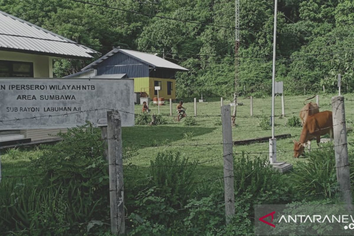 Masyarakat Pulau Moyo NTB sulit kembangkan perekonomian karena listrik