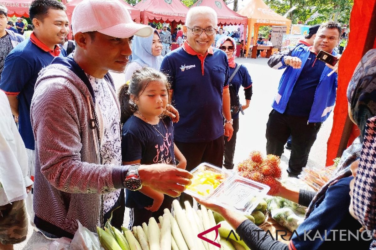 Kotim galakkan pertanian organik berharap warganya panjang umur