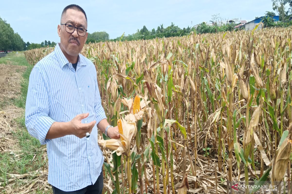 Balittra dorong lahirnya petani milenial 