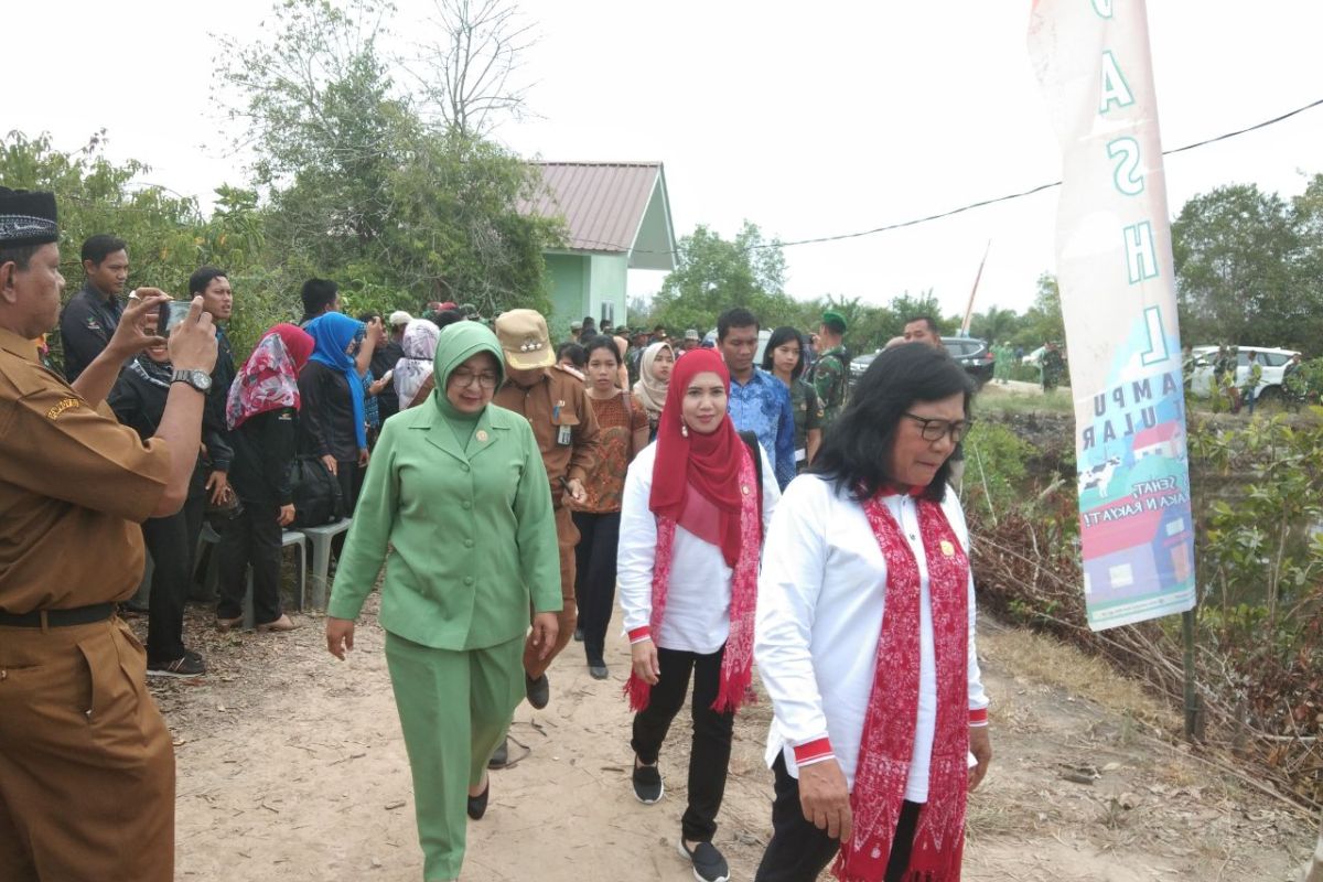 Kerusakan hutan mangrove Secanggang  650 hektare