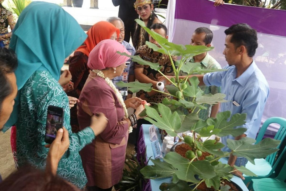 Desa Kalimendong Wonosobo maju lomba LBS tingkat nasional