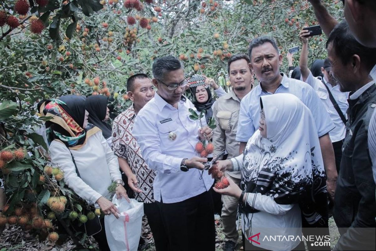 Kendari libatkan kelompok tani kembangkan kawasan agrowisata