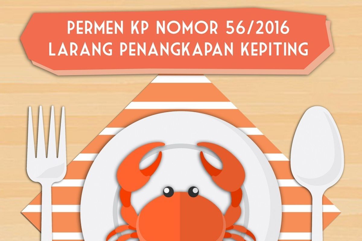 Permen KP Nomor 56/2016 Larang Penangkapan Kepiting