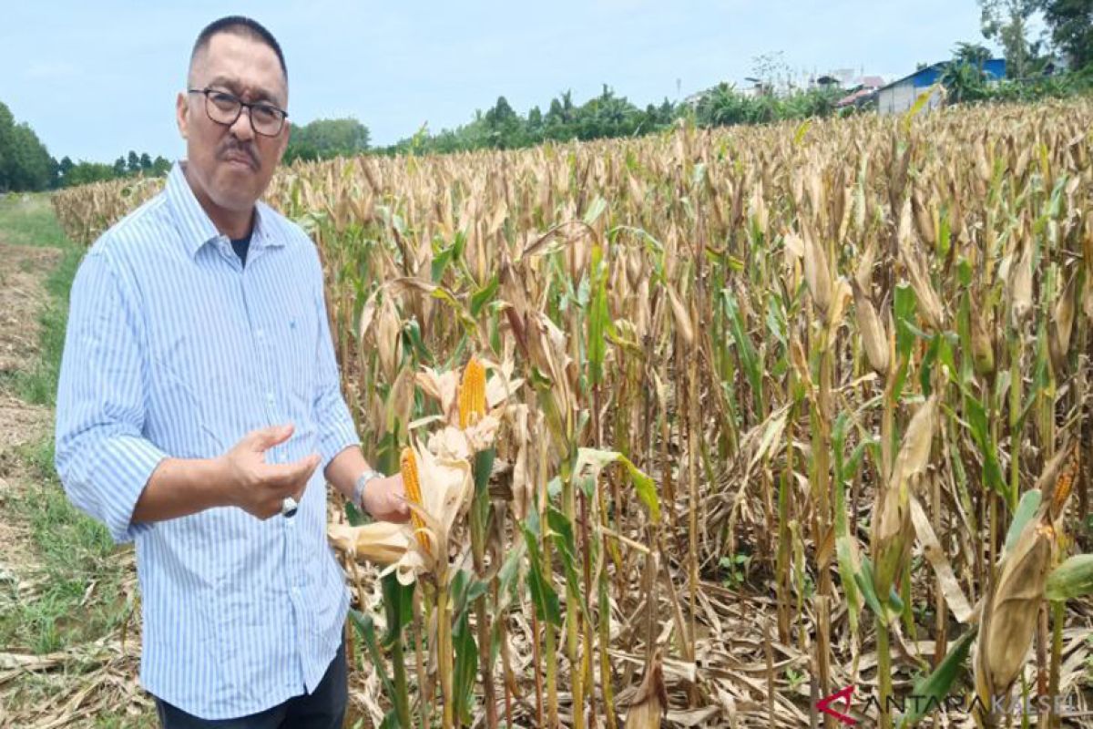 Balitra dorong petani Kalsel melek teknologi