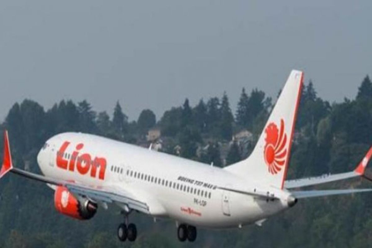 Lion Air postpones delivery of Boeing 737 Max 8 aircraft