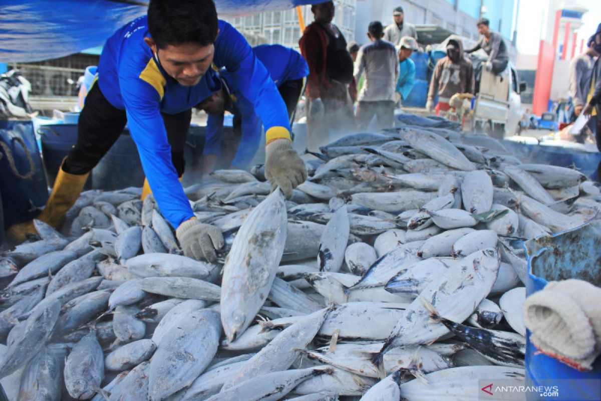 Pengawasan terpadu dilakukan di Pelabuhan Perikanan Paotere