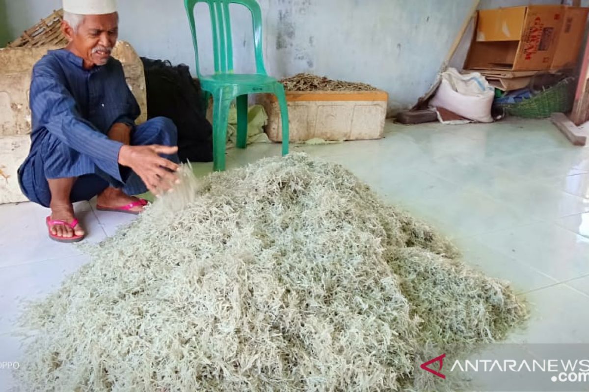 Perajin ikan teri harapkan bantuan lokasi penjemuran