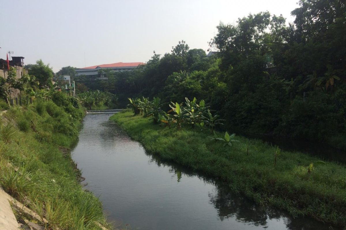 DLH Sleman lakukan gerakan bersih sungai di 17 aliran