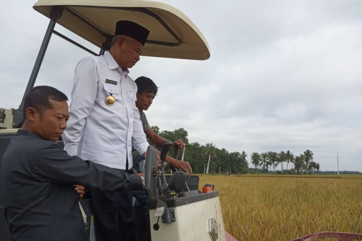 OKU Timur genjot kinerja pertanian organik, tambah luas lahan