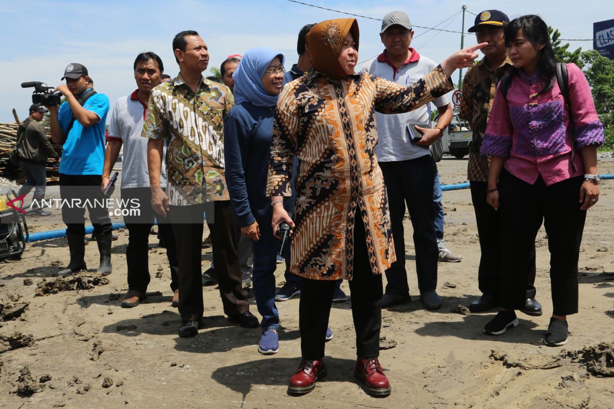 Wali Kota Risma tinjau jembatan gantung bambu dan rumah pompa di Wonorejo Surabaya