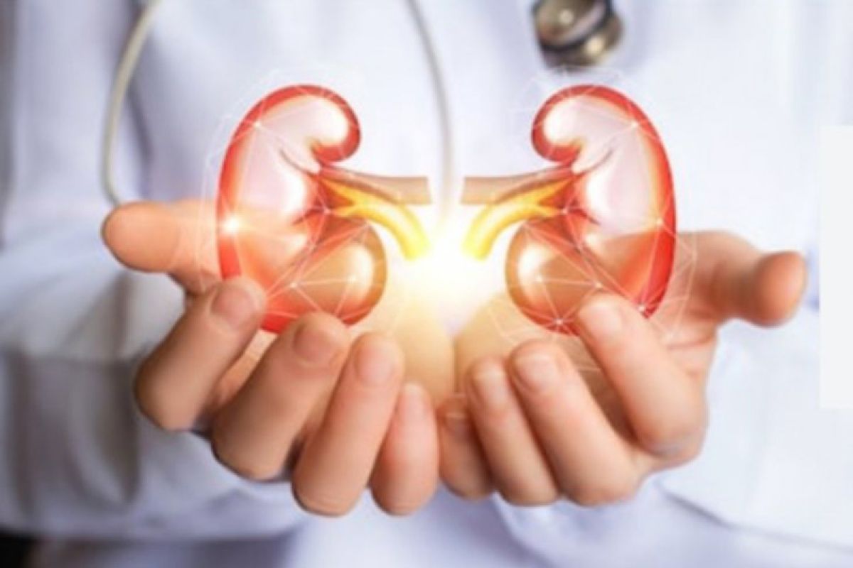 Smoking, obesity can cause kidney cell carcinoma: specialist