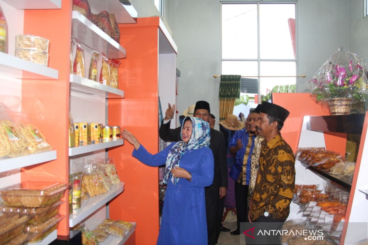 DPRD Kabupaten Solok berupaya sempurnakan Perda UMKM