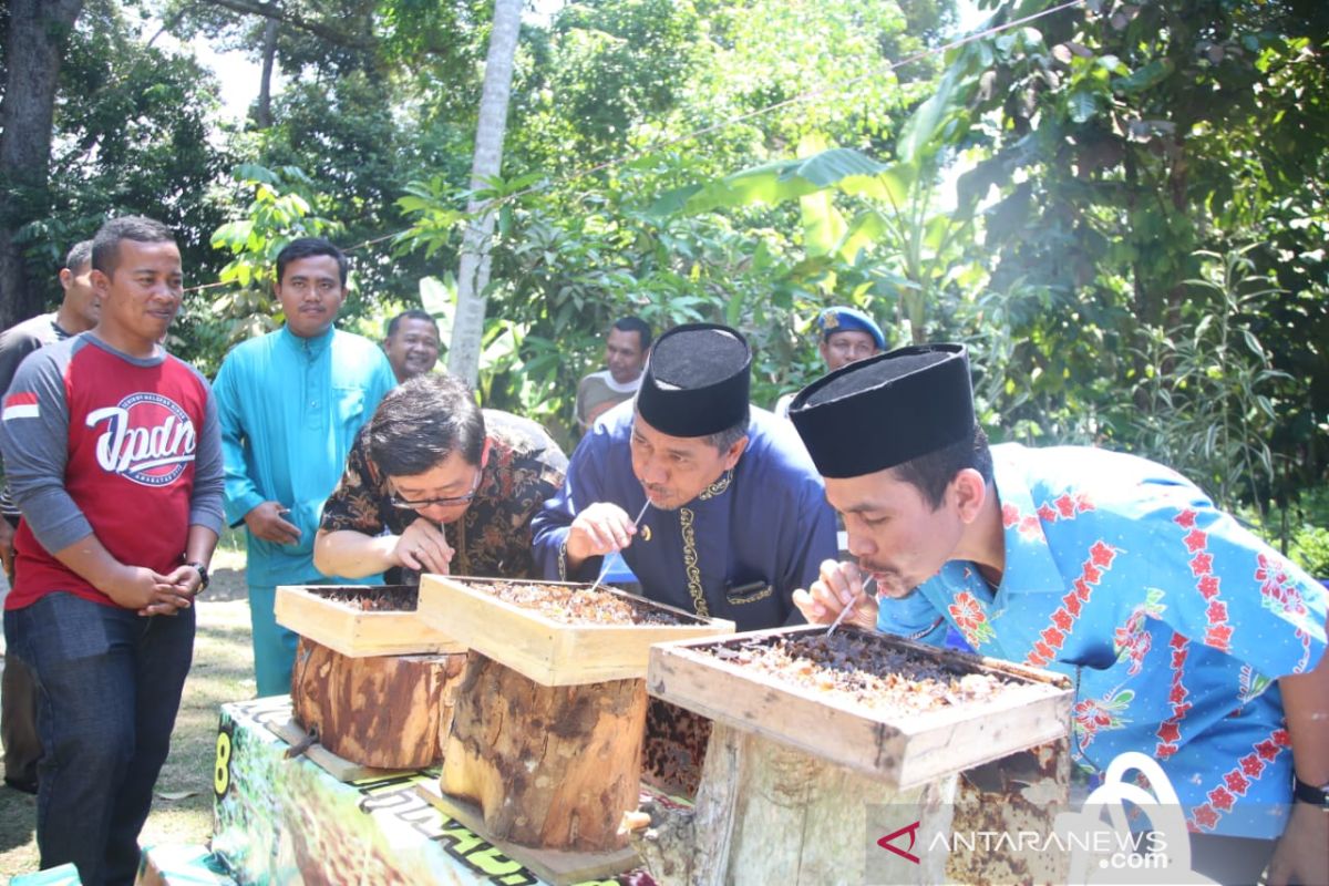 Plt Bupati Siak panen Madu Kelulut di Sungai Apit