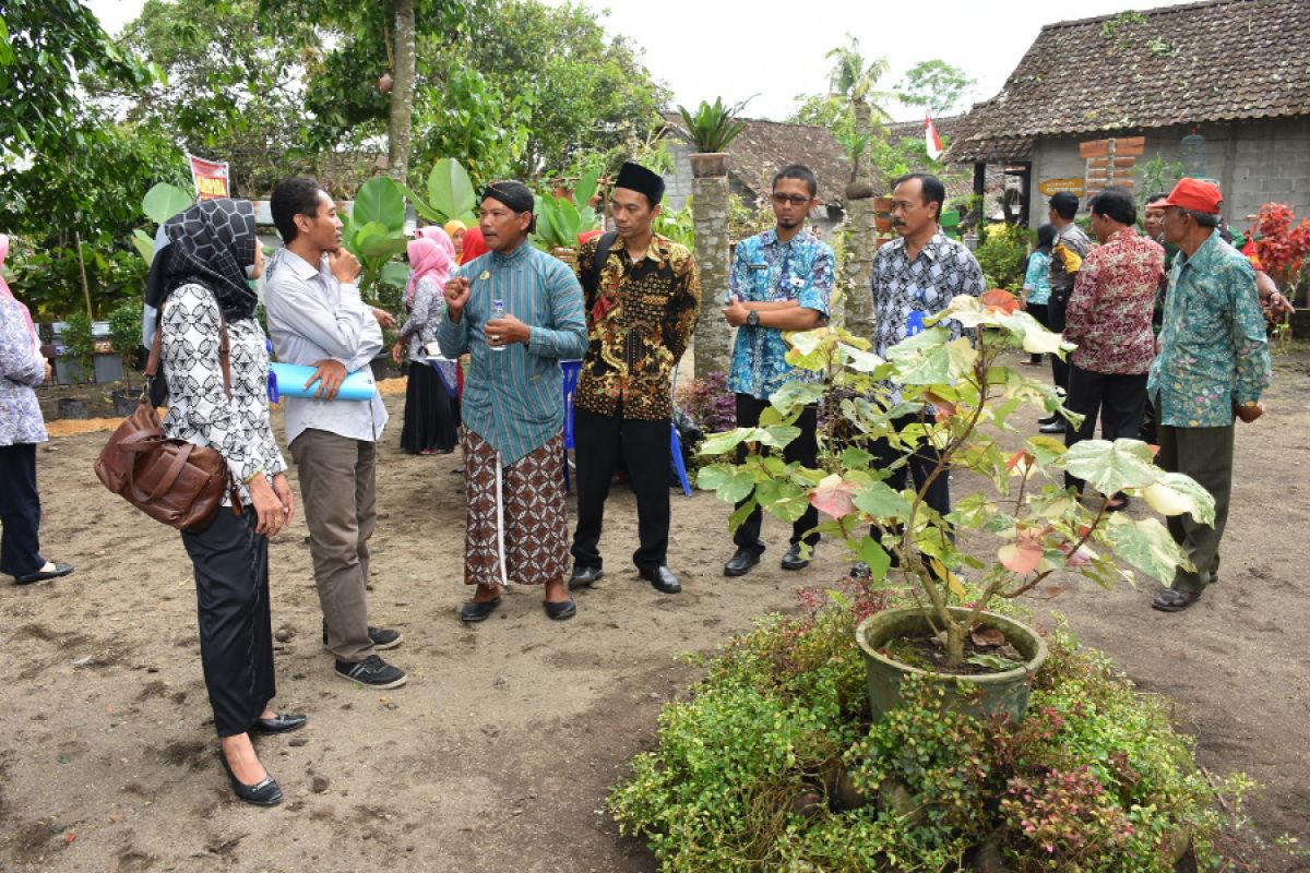 Sampah popok bayi sebagai media tanaman hias wakili Yogyakarta