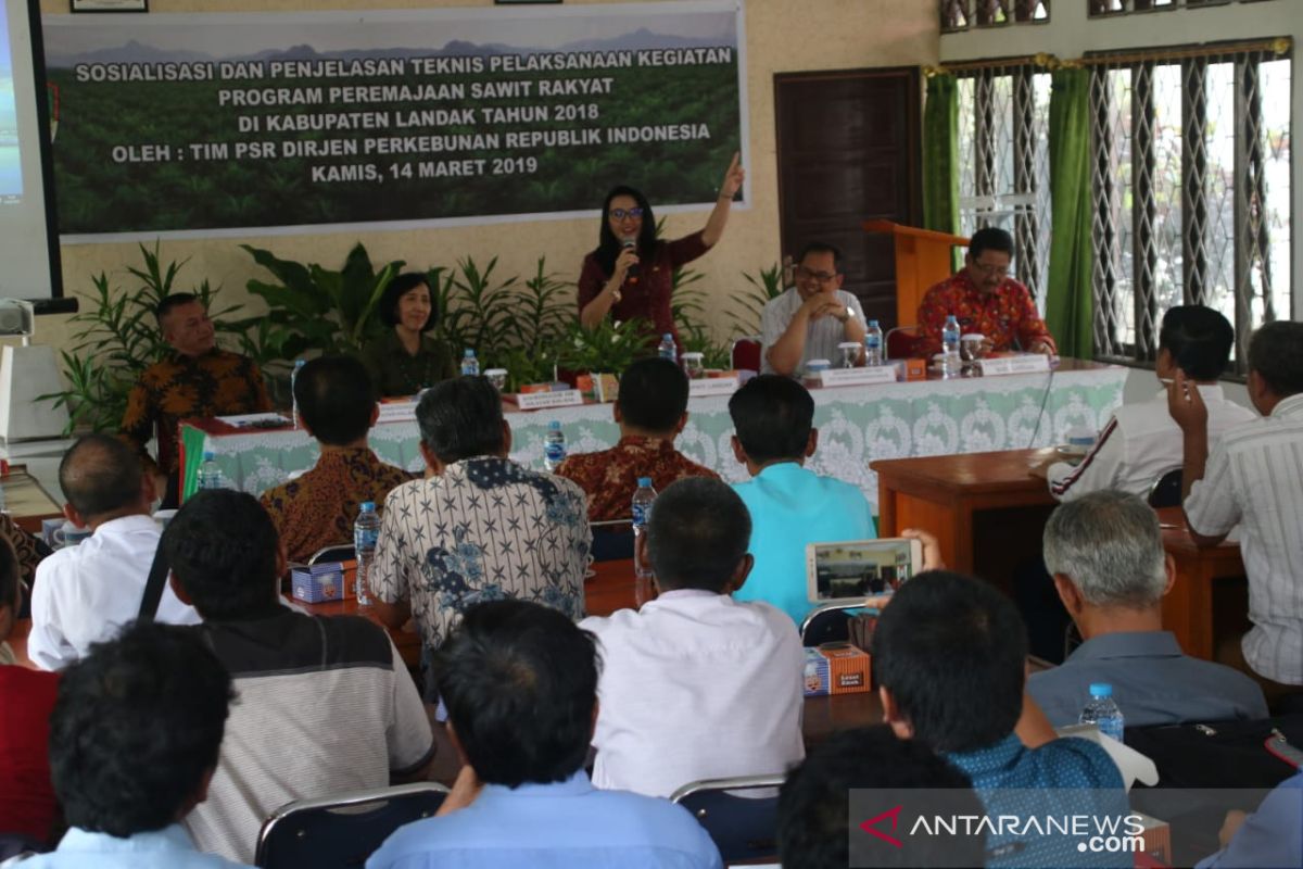 Wujudkan perlindungan anak, Pemkab Landak gandeng perangkat adat