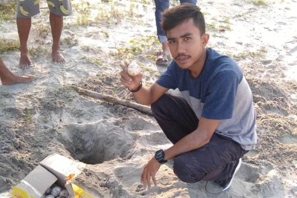 Silva Aceh Mulai Bentuk Kawasan Konservasi Penyu di Simeulue