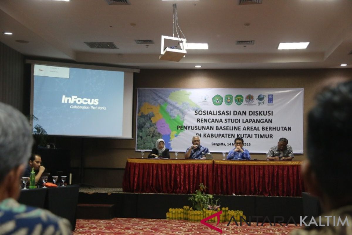 Kutai Timur Menjadi Project Kalimantan Forest