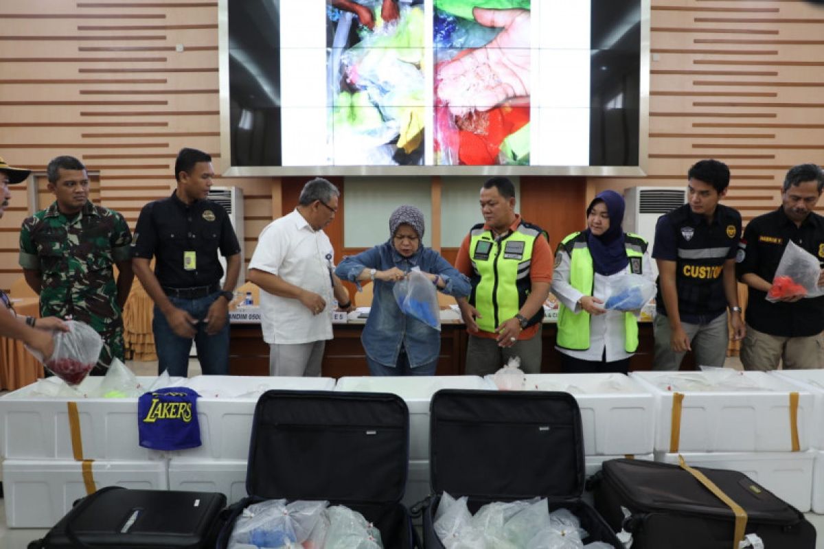 Penyelundupan benih lobster Rp19 miliar digagalkan di Soekarno-Hatta