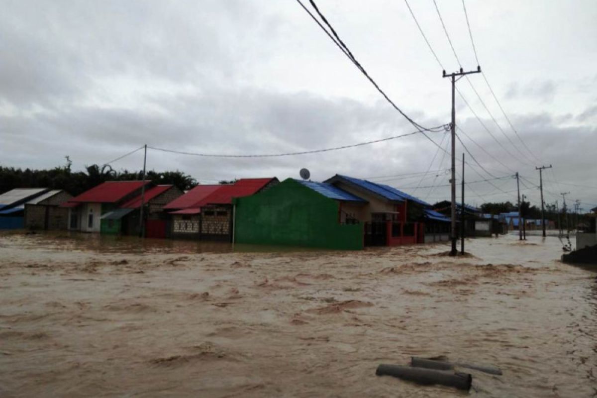 Anggota Polri bersihkan pohon yang melintang di jalan Waena-Sentani