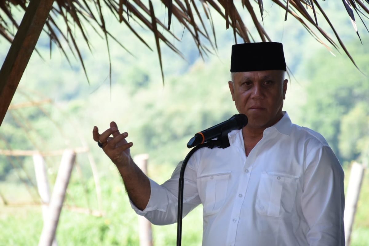 Bupati Aceh Tengah: butuh dukungan semua pihak tagani hama tanaman kopi