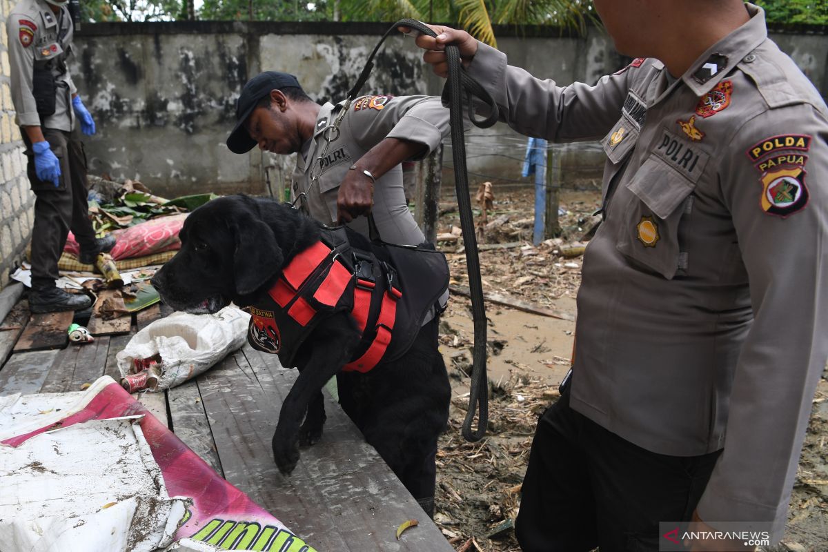 Polisi kerahkan 15 anjing pelacak cari korban banjir Jayapura