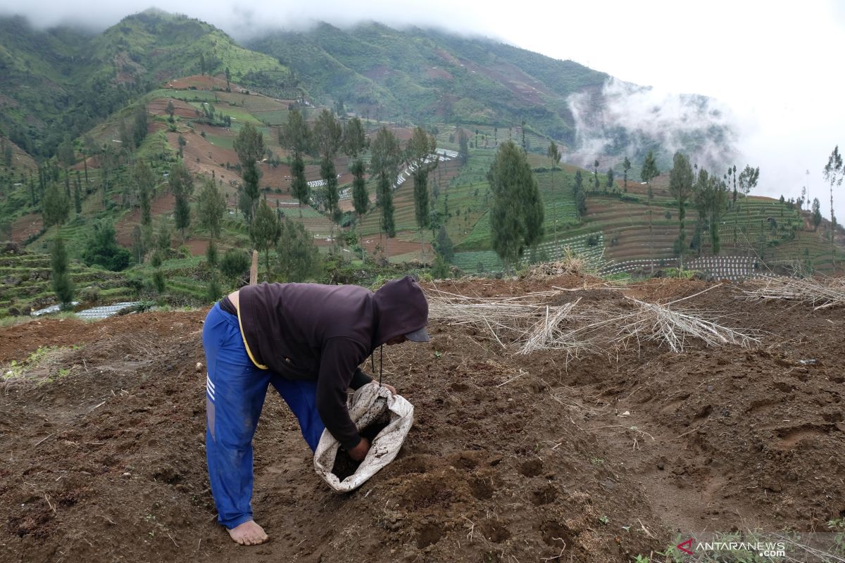 Petani belajar perhutanan sosial via daring saat pandemi