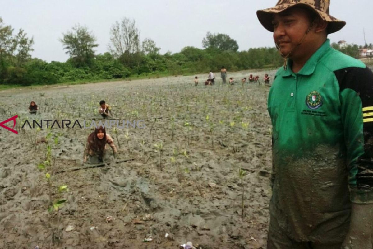 Menanam Bakau Jaga Pelestarian Satwa Langka Hutan Way Kambas Lampung