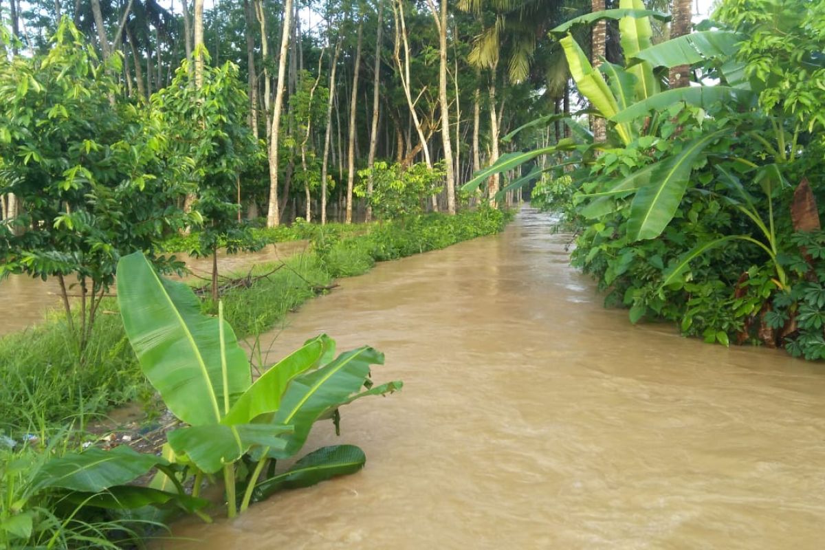 Banjir di Wonoasri Jember mulai surut, ketinggian air 30-80 cm