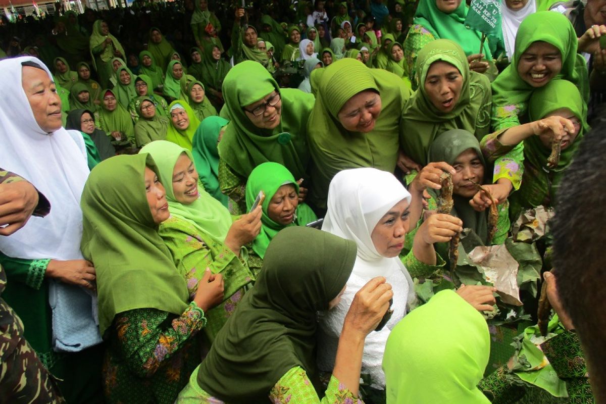 Produksi ikan lele di Kediri melimpah