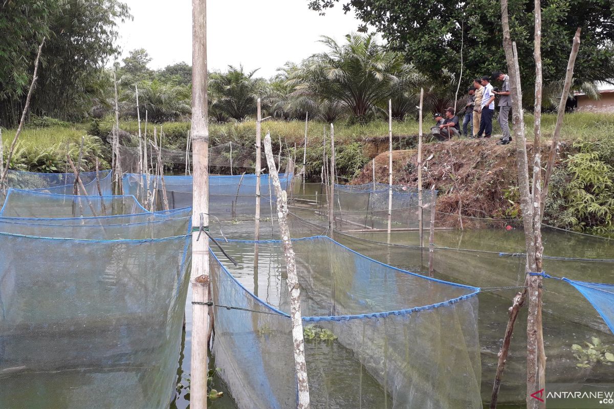 DKP Bangka Barat akan selektif tentukan kelompok penerima bantuan