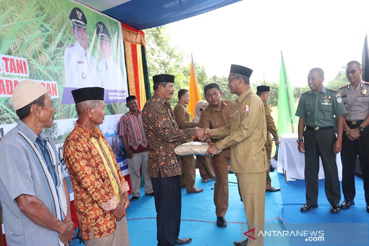 Pemkab Nagan Raya fokus pengembangan padi