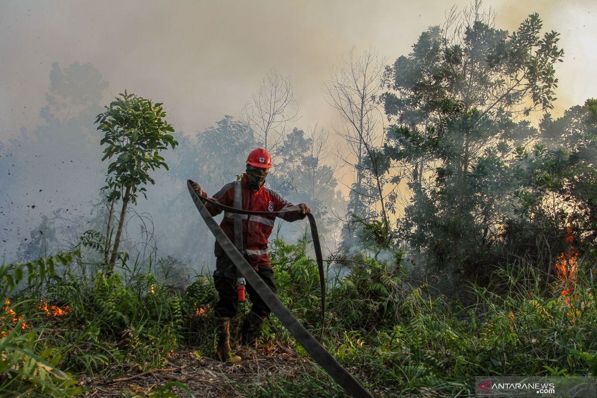 Jumlah titik panas indikasi Karhutla di Riau turun drastis