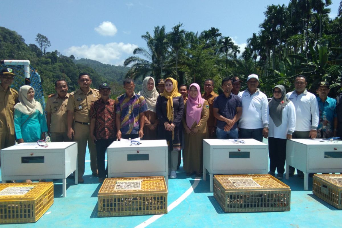 Pesisir Selatan salurkan 1.420 ekor itik petelur kepada 71 keluarga petani