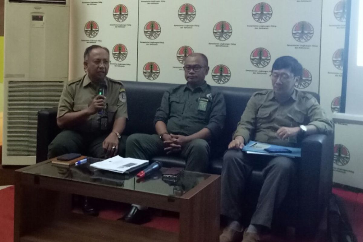 Environment Ministry to send task force to flood-hit Sentani