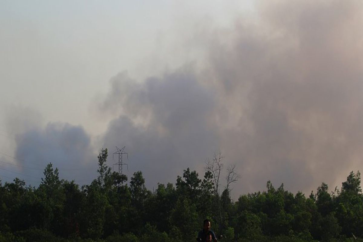 Tackling forest fires in 5 Indonesian provinces