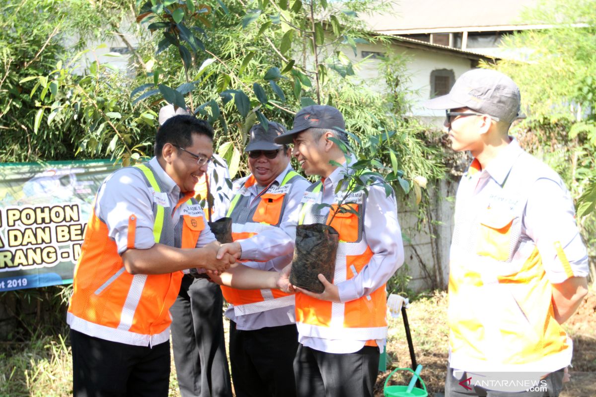 MMS tanami daerah milik jalan dengan pohon buah langka