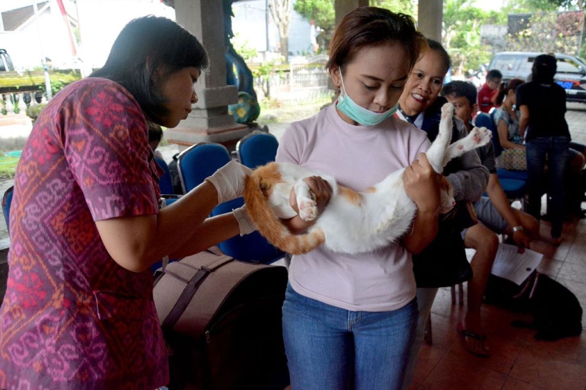 Distan Denpasar lakukan vaksinasi tangkal virus rabies