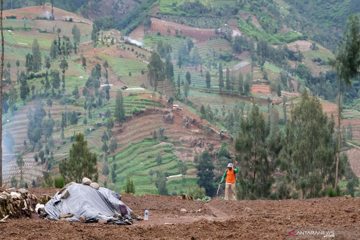 Longsor terjadi di Pringsurat Temanggung